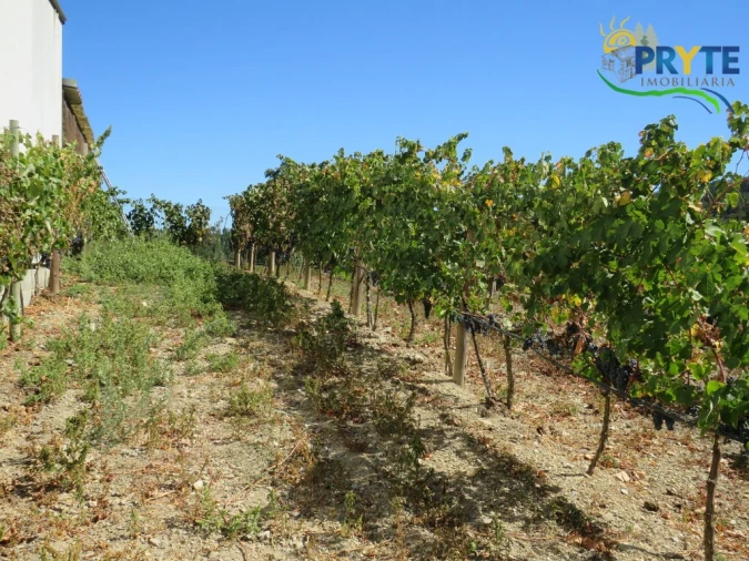 Moradia T3 para Venda em Sertã Foto 69