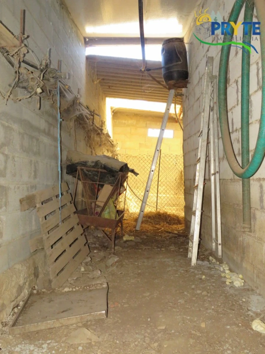 Moradia T3 para Venda em Sertã Foto 74