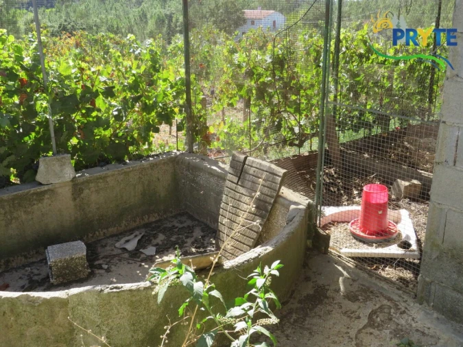 Moradia T3 para Venda em Sertã Foto 75