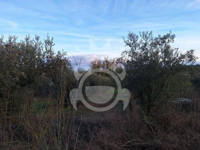 Quinta T2 para Venda em Portel Foto 7