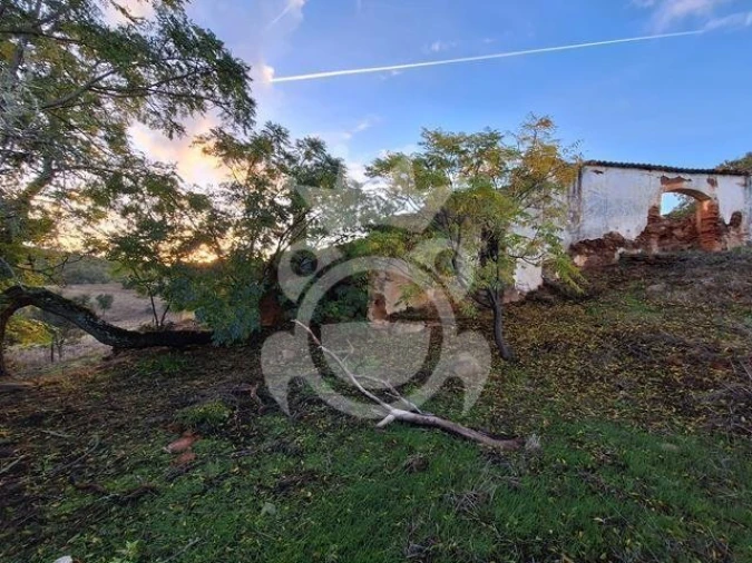 Quinta T2 para Venda em Portel