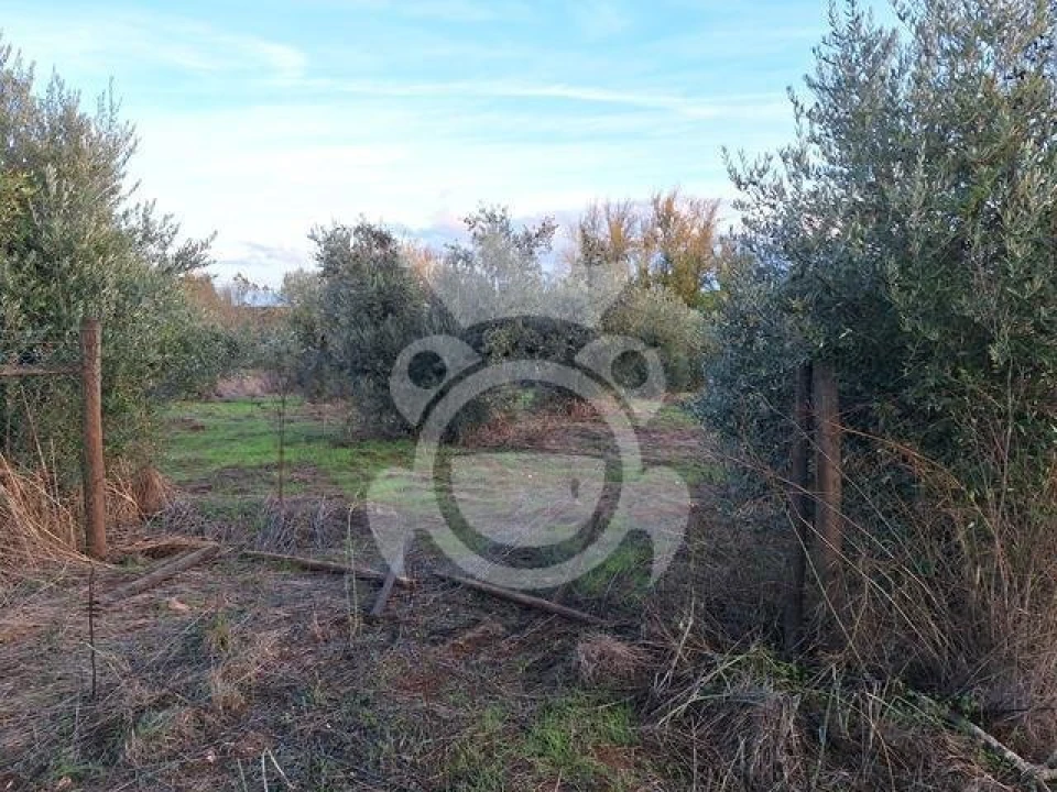 Quinta T2 para Venda em Portel Foto 8