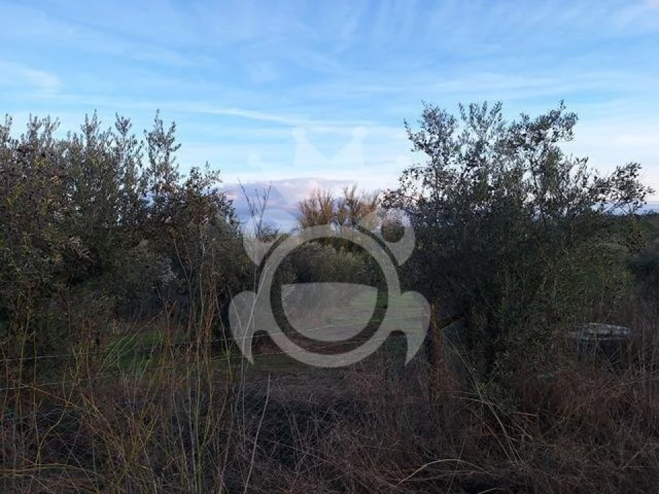 Quinta T2 para Venda em Portel Foto 7