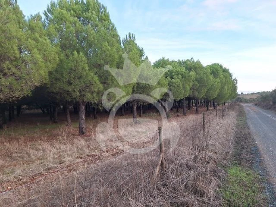 Quinta T2 para Venda em Portel Foto 10