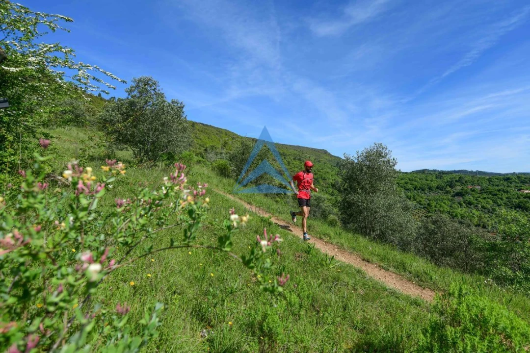 Terreno para Venda em Pombal Foto 14