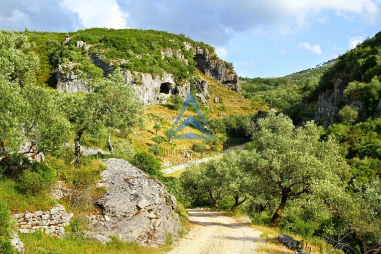 Terreno para Venda em Pombal Foto 13