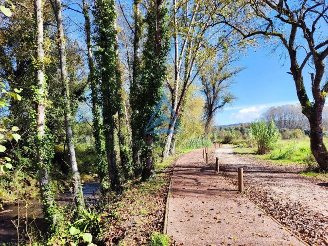 Terreno para Venda em Pombal Foto 15
