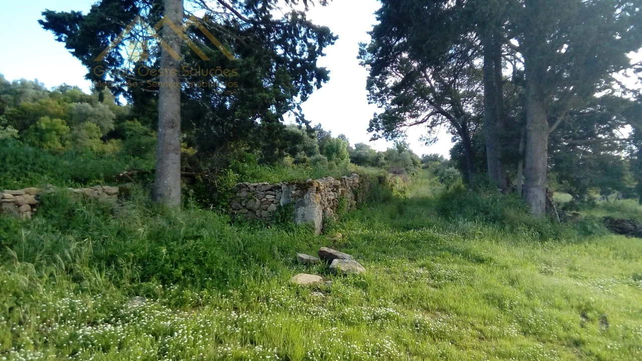 Quinta para Venda em Castanheira do Ribatejo e Cachoeiras Foto 16