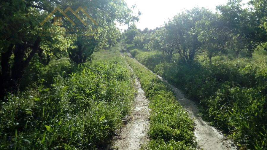 Quinta para Venda em Castanheira do Ribatejo e Cachoeiras Foto 11