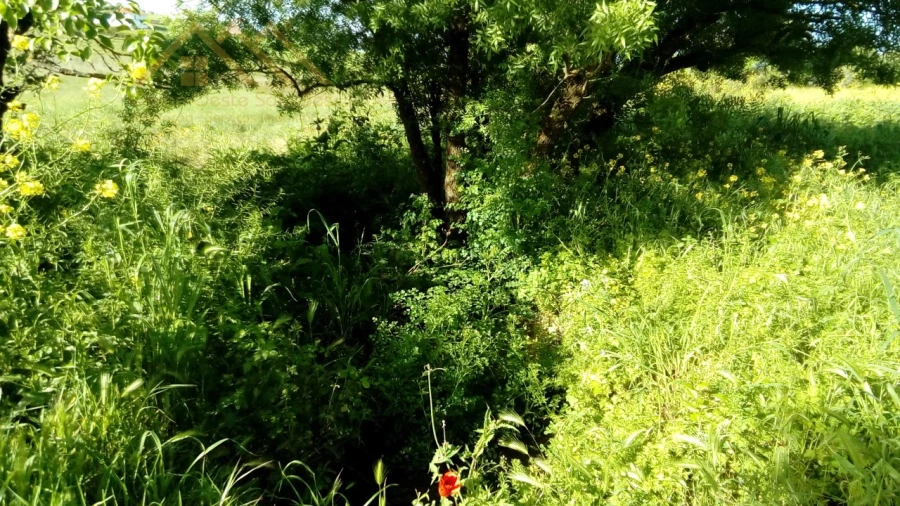Quinta para Venda em Castanheira do Ribatejo e Cachoeiras Foto 12