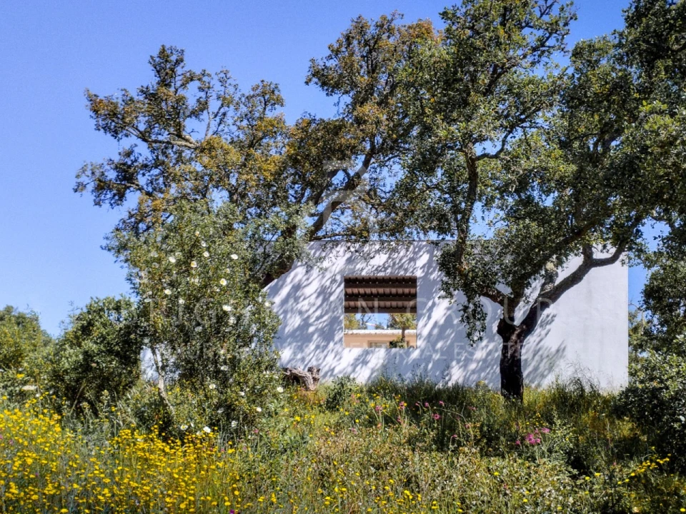 Moradia T7 para Venda em Porto Covo Foto 21