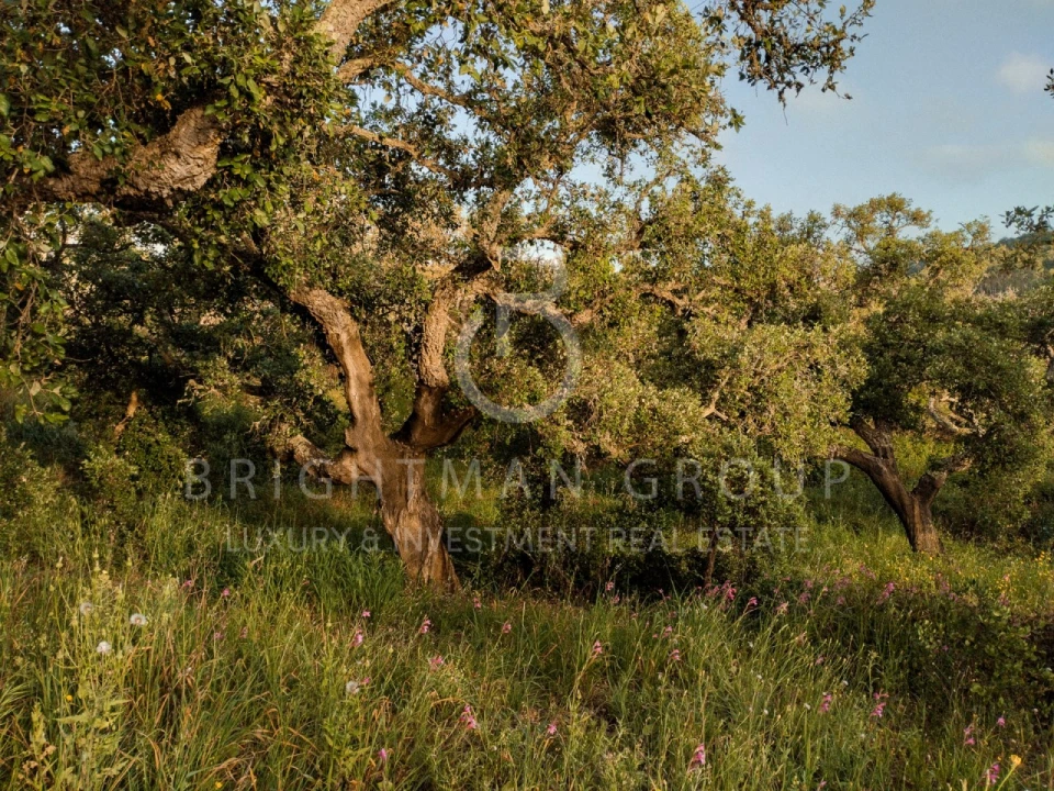 Moradia T7 para Venda em Porto Covo Foto 53