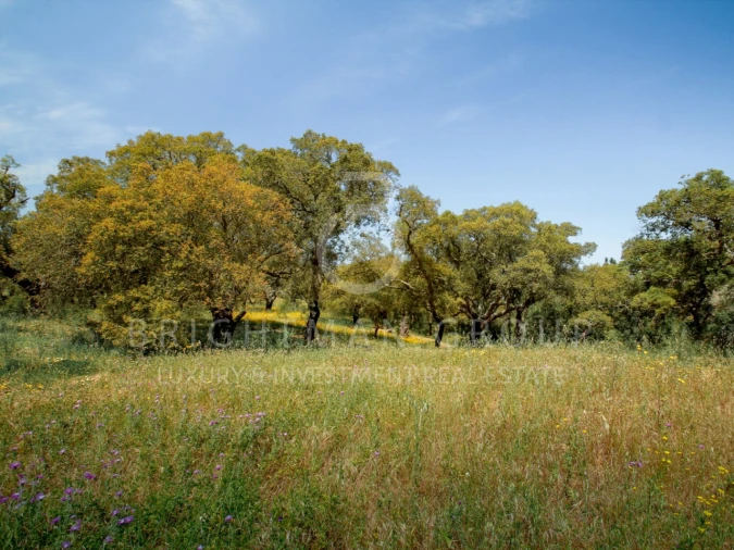 Moradia T7 para Venda em Porto Covo Foto 49