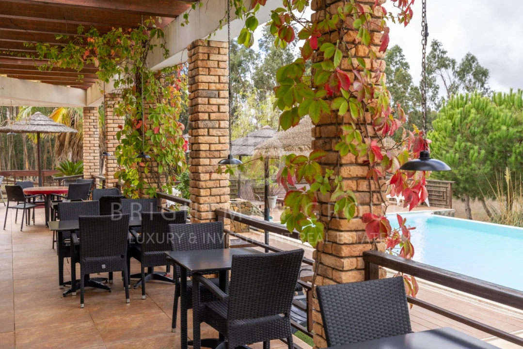 Quinta T17 para Venda em São Domingos e Vale de Água Foto 3