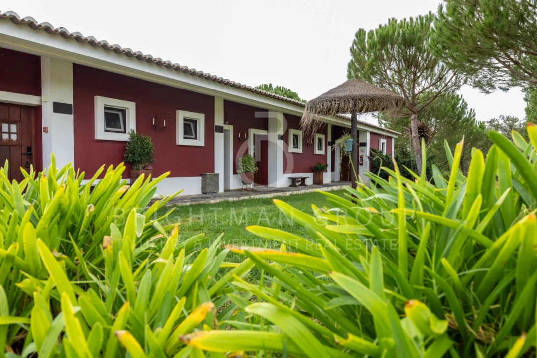 Quinta T17 para Venda em São Domingos e Vale de Água Foto 23