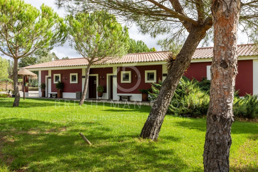 Quinta T17 para Venda em São Domingos e Vale de Água Foto 22