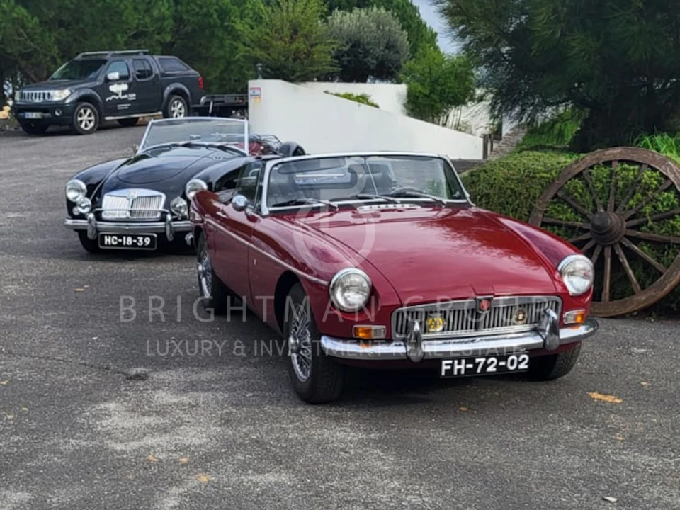 Quinta T17 para Venda em São Domingos e Vale de Água Foto 63