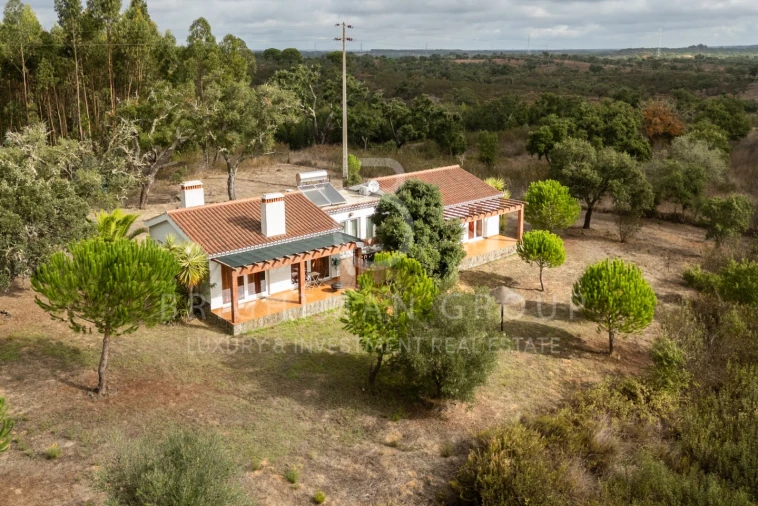 Quinta T17 para Venda em São Domingos e Vale de Água Foto 60