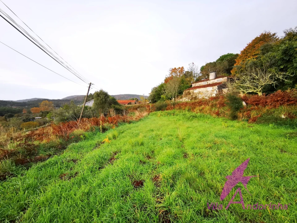 Terreno para Venda em Riba de Ancora Foto 1