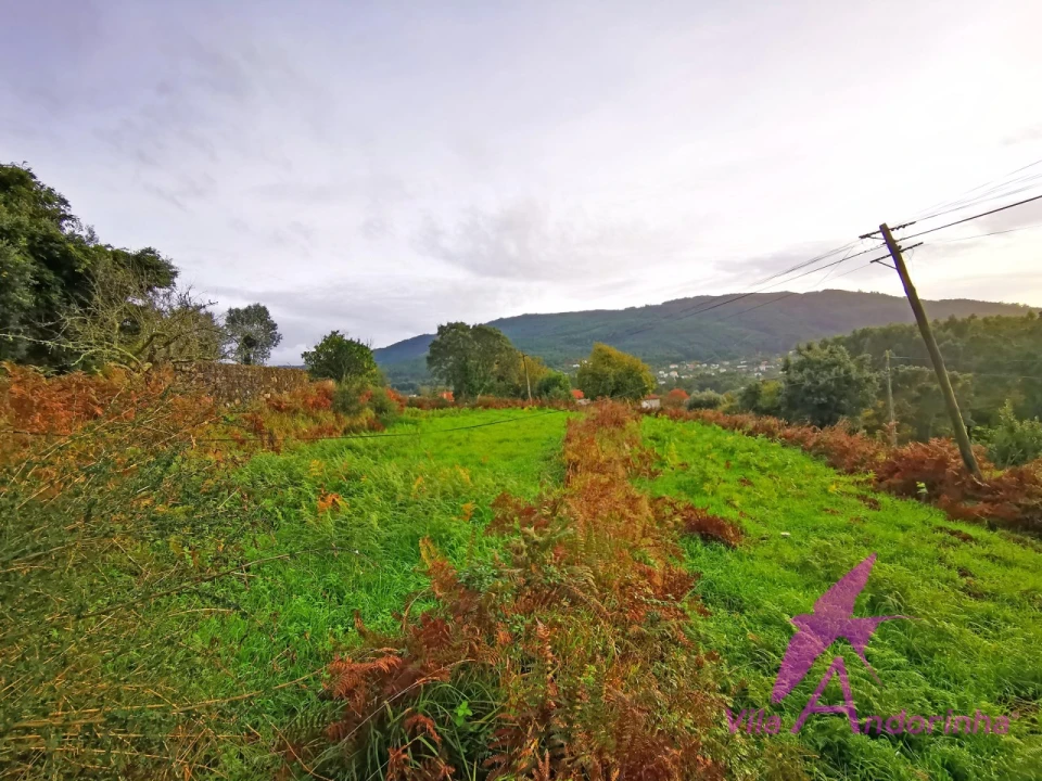 Terreno para Venda em Riba de Ancora Foto 2