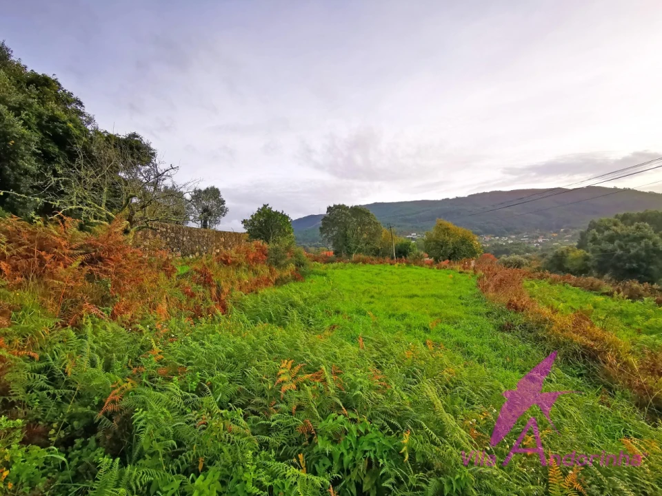 Terreno para Venda em Riba de Ancora Foto 3