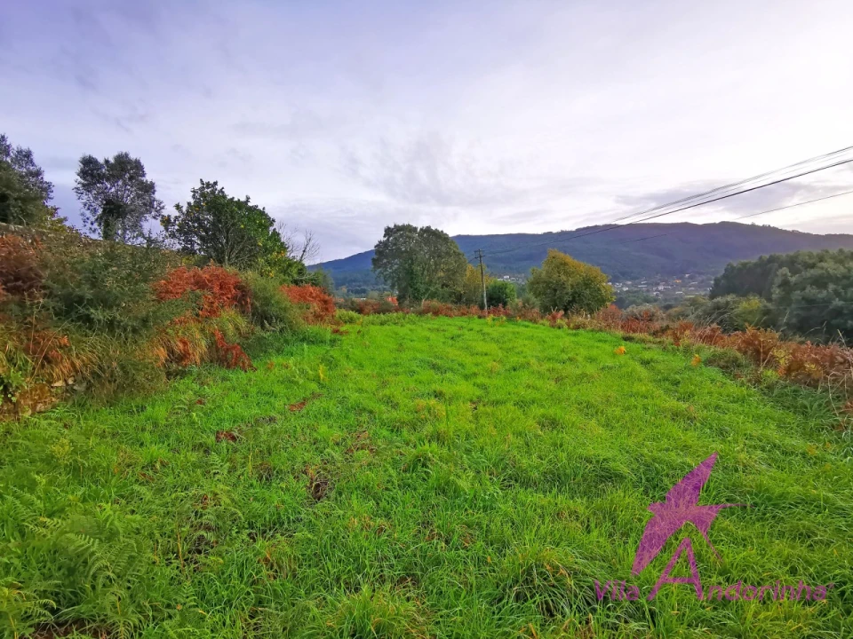 Terreno para Venda em Riba de Ancora Foto 5