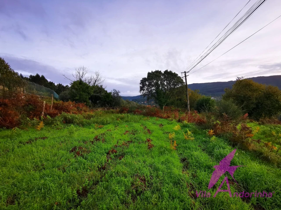Terreno para Venda em Riba de Ancora Foto 7