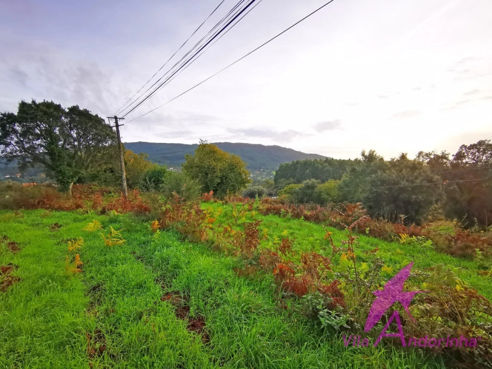 Terreno para Venda em Riba de Ancora Foto 8