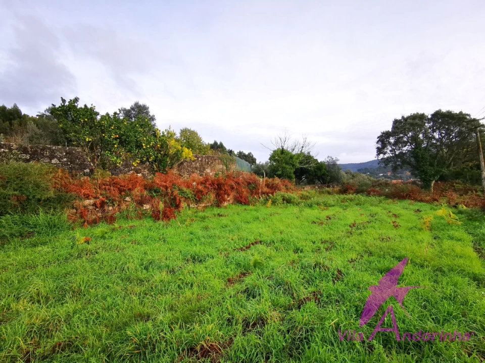 Terreno para Venda em Riba de Ancora Foto 11