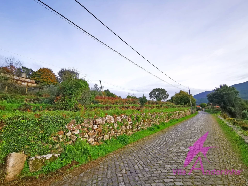 Terreno para Venda em Riba de Ancora Foto 14