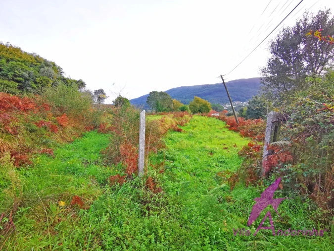 Terreno para Venda em Riba de Ancora Foto 4