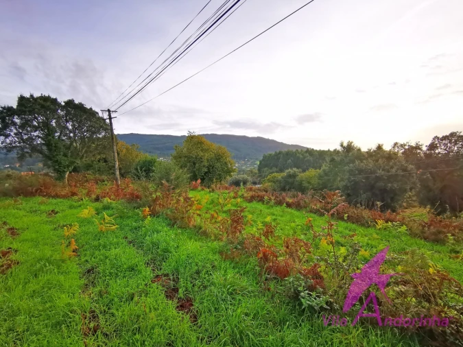 Terreno para Venda em Riba de Ancora Foto 8