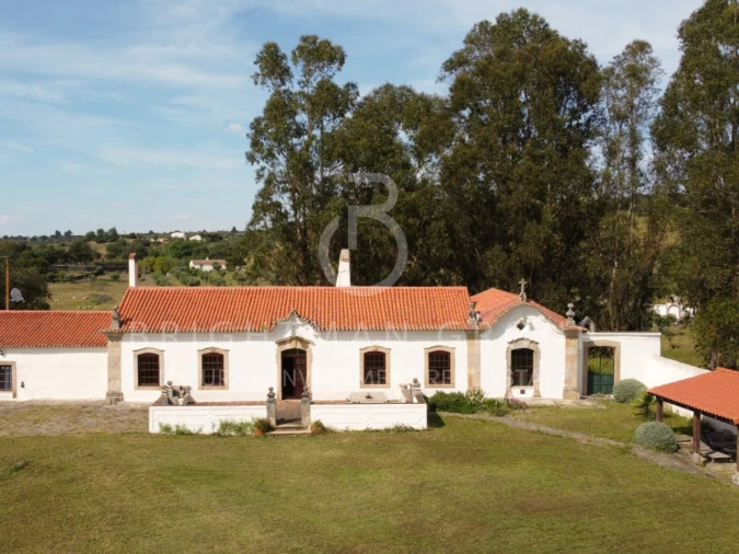Quinta T5 para Venda em Crato e Mártires, Flor da Rosa e Vale do Peso Foto 1