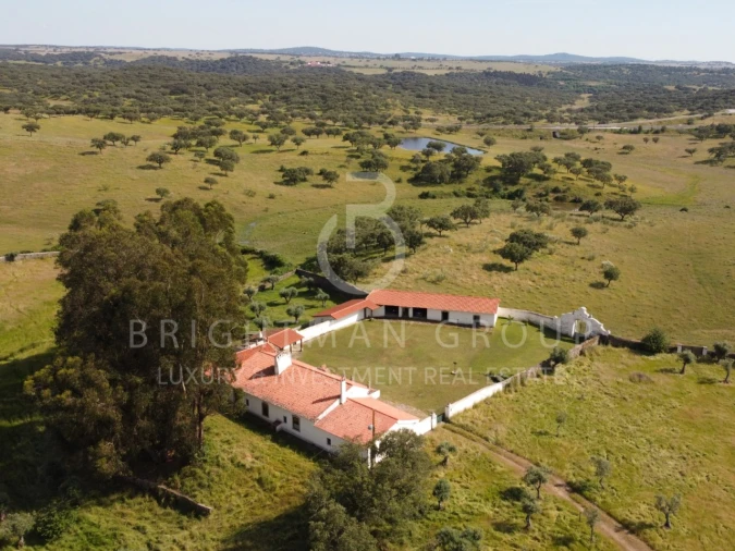 Quinta T5 para Venda em Crato e Mártires, Flor da Rosa e Vale do Peso Foto 21