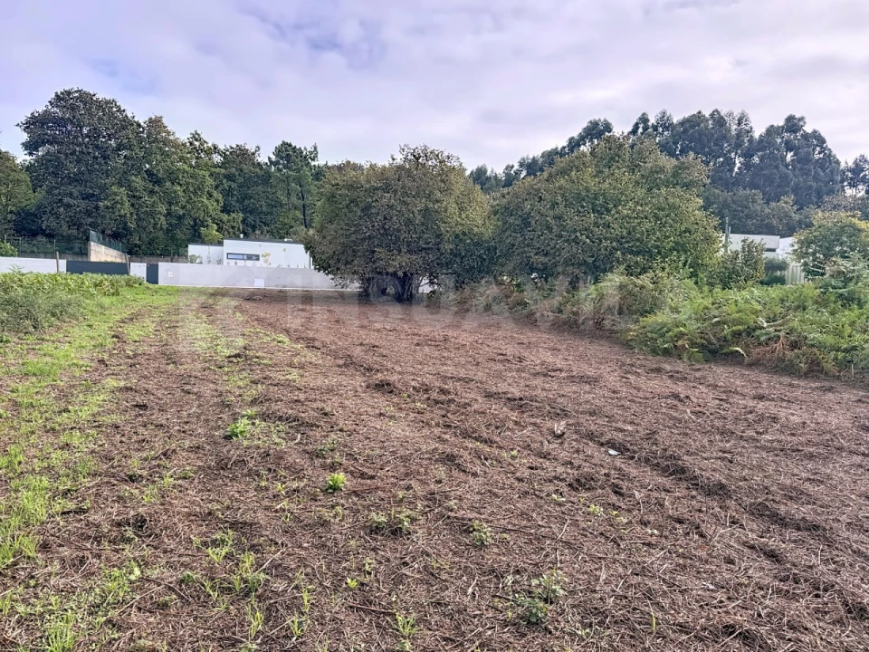 Terreno para Venda em Seixas Foto 9