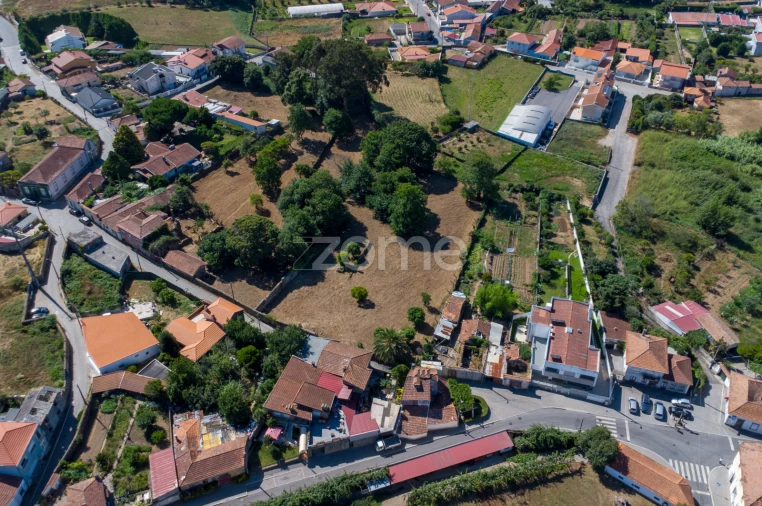 Terreno para Venda em Grijó e Sermonde Foto 6