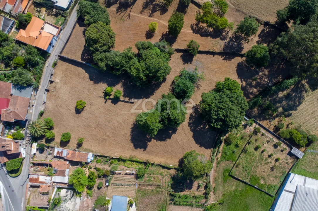 Terreno para Venda em Grijó e Sermonde Foto 6