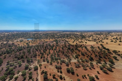 Moradia T5 para Venda em Salvada e Quintos