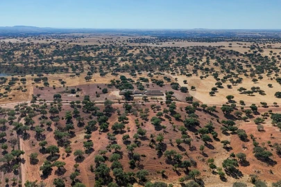 Moradia T5 para Venda em Salvada e Quintos