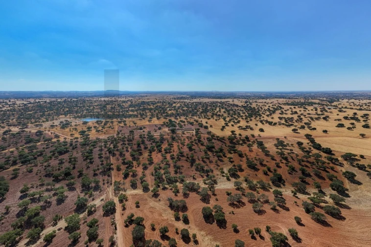 Moradia T5 para Venda em Salvada e Quintos Foto 69