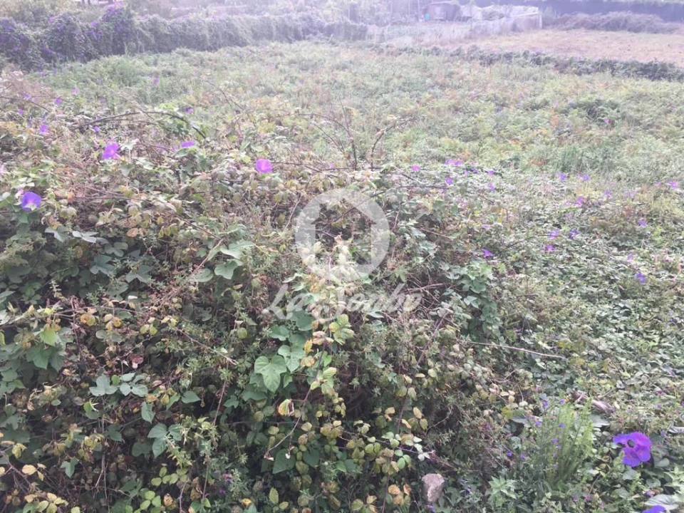 Terreno P/ Prédio para Venda em Póvoa de Varzim, Beiriz e Argivai Foto 4