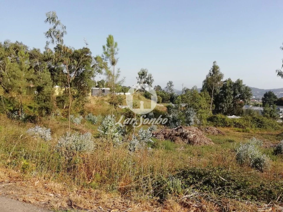 Terreno Agricola ou Rústico para Venda em Valongo Foto 3
