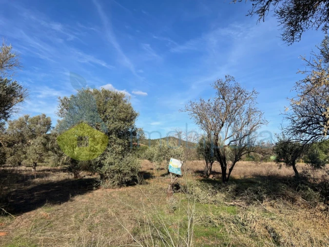 Terreno Agricola ou Rústico para Venda em Paderne Foto 4