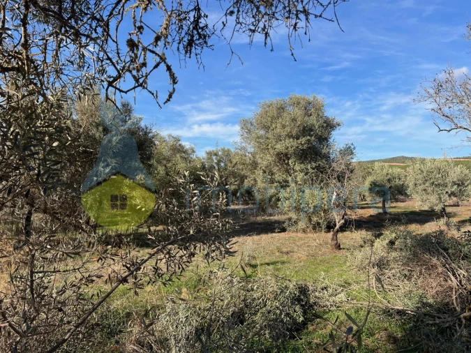Terreno Agricola ou Rústico para Venda em Paderne Foto 11