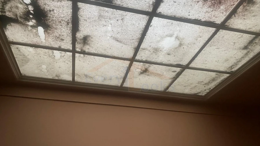 Loja para Venda em Nossa Senhora do Pópulo, Coto e São Gregório Foto 27