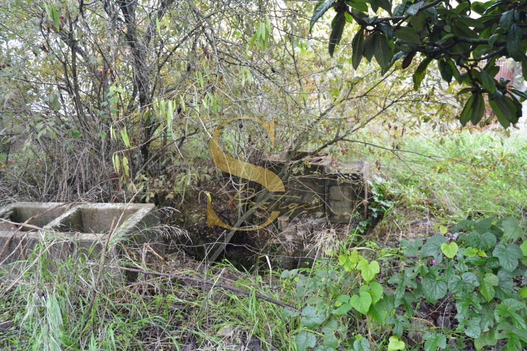 Moradia T6 para Venda em Torres Novas (São Pedro), Lapas e Ribeira Branca Foto 39