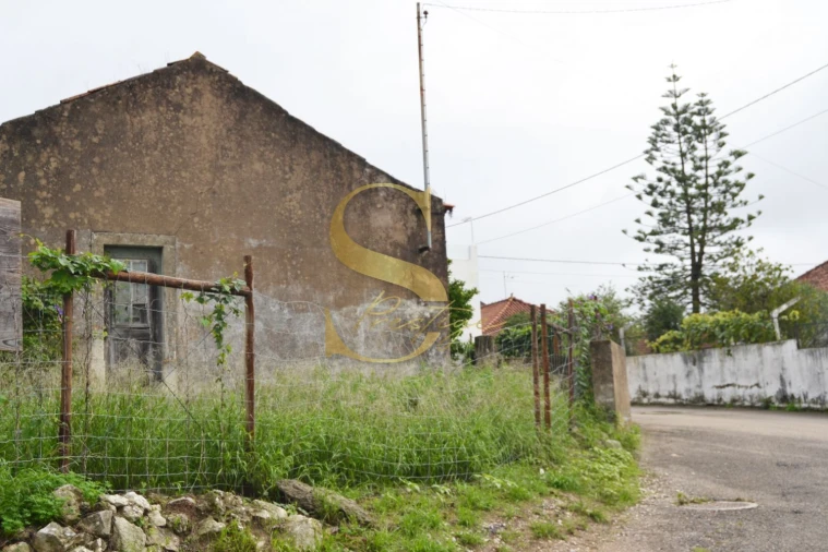 Moradia T6 para Venda em Torres Novas (São Pedro), Lapas e Ribeira Branca Foto 3