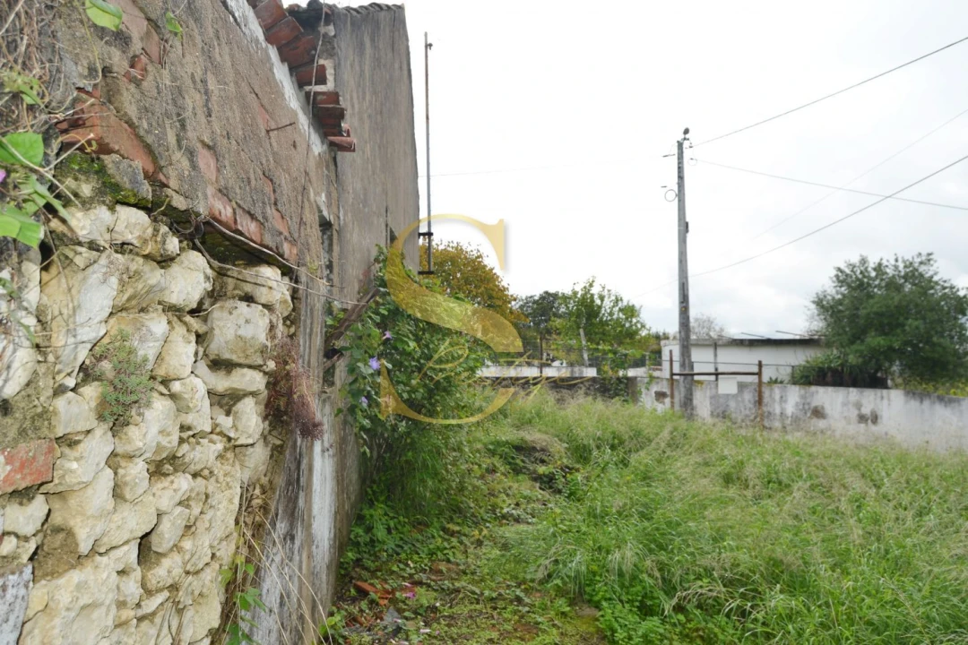 Moradia T6 para Venda em Torres Novas (São Pedro), Lapas e Ribeira Branca Foto 12