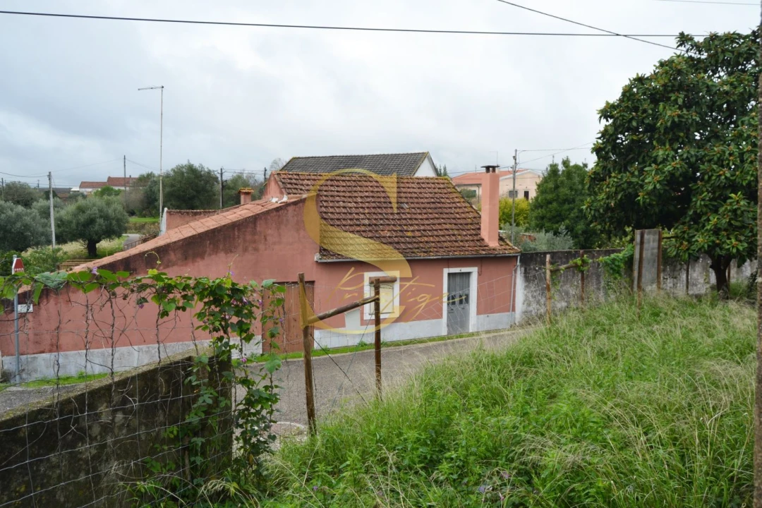 Moradia T6 para Venda em Torres Novas (São Pedro), Lapas e Ribeira Branca Foto 38