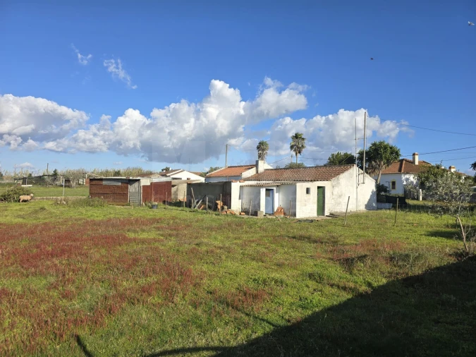 Moradia T2 para Venda em São Salvador e Santa Maria Foto 4